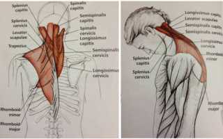 Упражнения от болей в шее голове