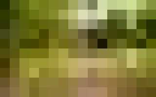 После прополки болит спина