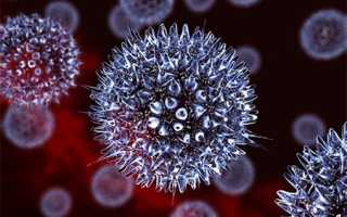 Болит голова нос заложен горло что делать