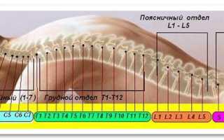 Психосоматика таблица болей спина