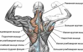 Причина болей в мышцах спины