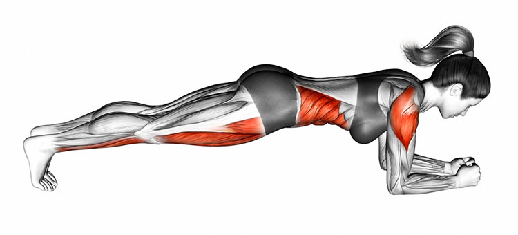 В планке болит спина