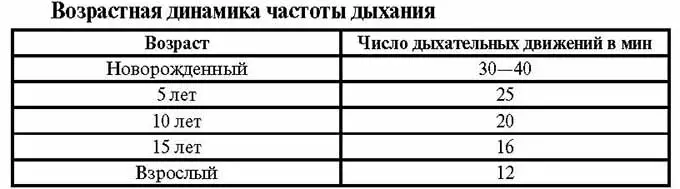 возрастная динамика дыхания