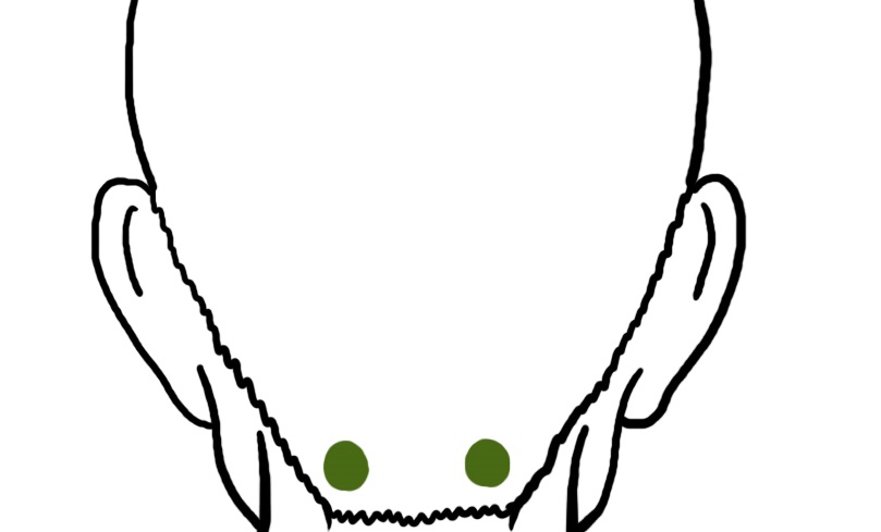 Как избавиться от головной боли за 5 минут: точки тянь-чжу