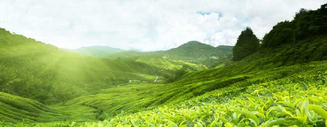 Голова уже болит плакать