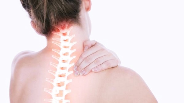 Позвоночник