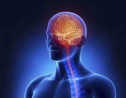 У мужа все время болит голова