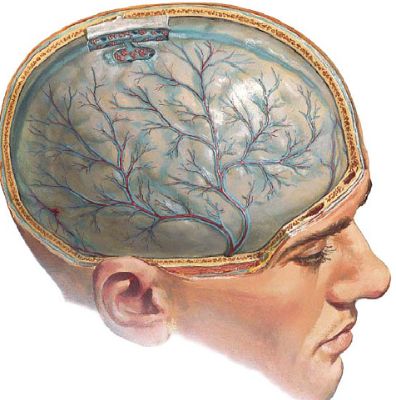 Болит спина поясница и температура что это