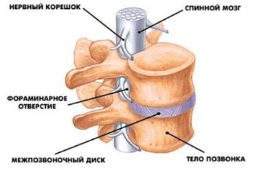Болит воротниковая зона и голова