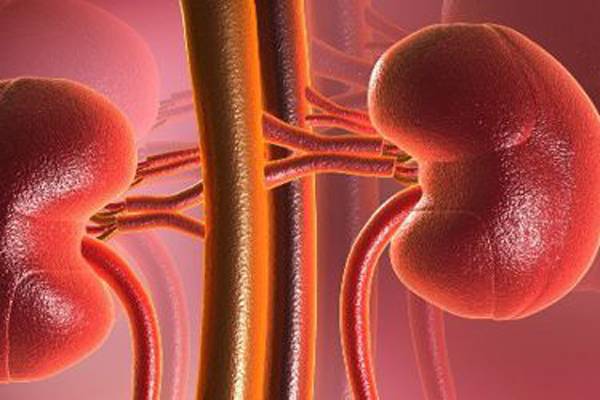 Опущение почек