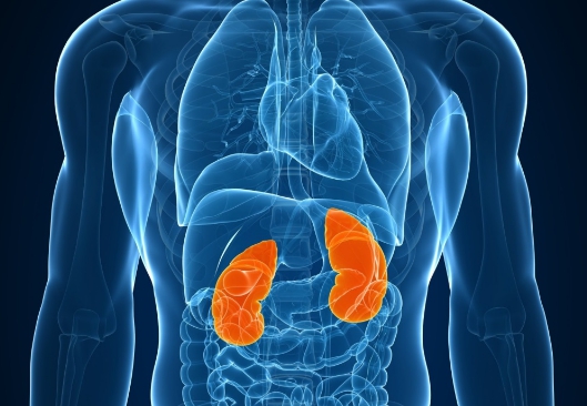 Болит спина по утрам месяц