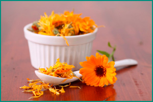 Лечебная календула